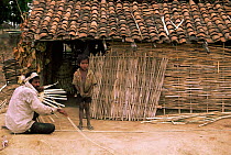 Basket makers, near Bandhavgarh NP, Central India.