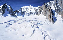 Mer de Glace glacier, Mont Blanc, Alps, France