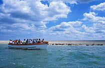 Tourists viewing seals from boat, Blakeney point, Norfolk, U
