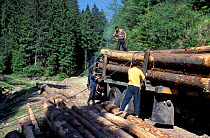 Loading logs onto truck, timber industry, Transylvania, Romania