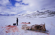 Caribou (reindeer) hunting, Inuit, Anuktuvuk Pass, Brooks range, Alaska, USA