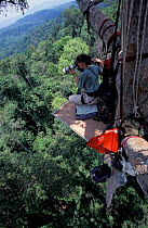 Justine Evans filming from tropical rainforest tree platform, Khao Yai NP, Thailand