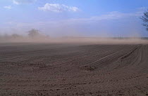 Dust storm, wind erosion due to over cultivation. Norfolk, UK