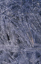 Crystallised ice patterns on river, Strathspey, Scotland, UK