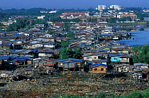 Shanty town homes built on stilts Kota kinabalu, Sabah, Borneo, Malaysia