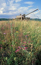 Old tank + wild flowers on Dopove mountains, military training ground, Czech republic