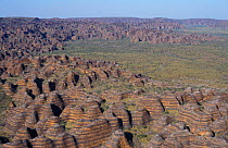 The Bungle Bungles, Purnululu NP Western Australia. 'Beehives' of eroded sandstone striped with