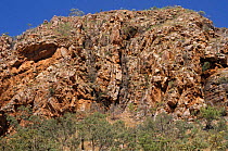 Folded quartzite, approx 300m yrs-old, King Leopold ranges, Kimberley, Western Australia
