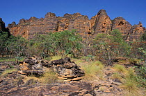 Nigli Gap, Keep river NP, 'beehives' of sandstone striped with lime shale, Northern