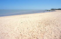 Sandy beach, Gulf of Carpentaria, Karumba, Queensland, Australia