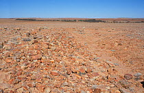 Sturts stony desert on the Birdsville track, South Australia