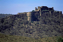 Kankwari fort, Sariska NP, Rajasthan, India