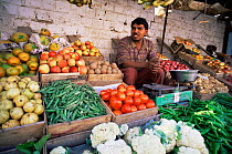 Fruit merchant selling his produce at market, Jaisalmer, Rajasthan, India