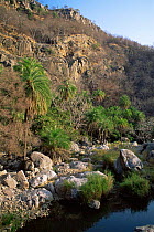 Makunda Gorge scenery in Sariska NP, Rajasthan, India