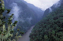 Pongo de Mainique canyon in Vilcabamba mountain range, Urubamba river, Amazonia, Peru