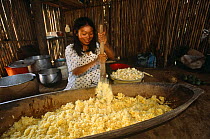 Machiguenga indian making beer from manioc Timpia community, Lower Urubamba river, Amazonia, Peru