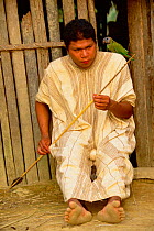 Machiguenga indian man making arrow for fishing - Timpia peoples. Lower Urubamba River Amazon rainforest, Peru, South America. Arrow made from macaw feathers