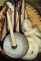 Machiguenga Indian spinning tools. Cotton used to make traditional clothing. Timpia Community, Lower Urubamba River, Amazon Rainforest, Peru. South America