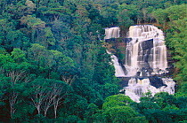 Pancada Grande waterfall in Atlantic rainforest. Itubera, Bahia State, ne Brazil, South America