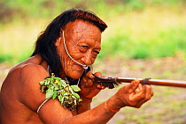 Yaminahua Indian man with blowpipe and arrow. Boca Mishagua River, Amazon rainforest, Peru. South America. People contacted in 1988
