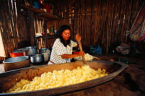 Machiguenga Indian mixing manioc for local brew. Timpia Community, Lower Urubamba River, Amazon rainforest, Peru. South America