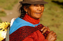 Indian woman carrying wares to market, Ofelia Market, Quito, Ecuador, South America