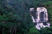 Pancada Grande waterfall in Atlantic rainforest, Itubera, Bahia, NE Brazil, South America