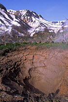 Valley of geysers and fumaroles, Kamchatka, Russia