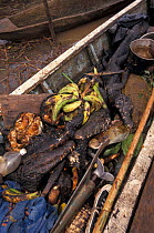Bushmeat (caiman) in canoe Boca Mishagua river, Amazonia, Peru