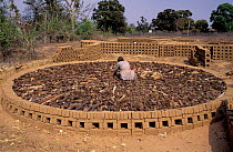 Kiln for firing bricks nr Bandhavgarh NP, Madhya Pradesh, India