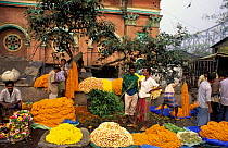 Flower market, Calcutta, West Bengal, India