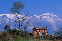 Local house with Anapurna mountain range behind, Pokhara, Nepal