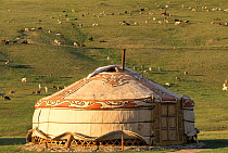 Gers / yurt (traditional tent) with livestock, Bogdkhan reserve, nr Ulaanbaatar,