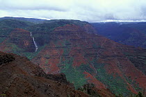 Waimea canyon, Kauai, Hawaii, USA