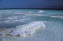 Lac Assal, crystallised salt on shoreline, 150m below sea level. Djibouti, East Africa sea water