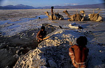 Afar tribesmen mining salt, Lac Assal, Djibouti, East Africa. 150m below sea level. sea water