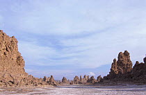 Mineral 'chimneys' of Lac Abbe, Djibouti, East Africa. Formed in lake, now exposed on plain. sea
