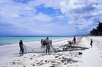 Women checking seine net for fishing, Bwejee village, Zanzibar, Tanzania