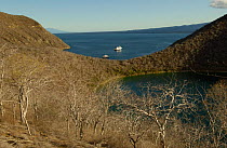 Darwin Bay, Tagus Cove, Isabela Island, Galapagos Is.