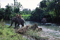 Khamtis cross river on Indian elephants on elephant hunt. Arunachal Pradesh, NE India.