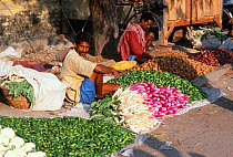 Vegetables for sale at Sonepur fair, Bihar, India