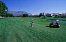 Golfer on golf course with golf buggy, Fuengirola, Malaga, Spain