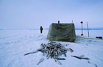 Fish catch of fisherman with tent over ice hole on Lake Baikal, Siberia, Russia