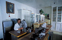 Dr Maksimov at the Bolshoy Kotu laboratory, Lake Baikal, Siberia, Russia