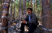 Local man beside trees tied with cloth, Shamanism religion, Lake Baikal, Siberia, Russia