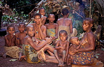 Bayaka / Babenzele pygmies in hunting camp. Central African Republic