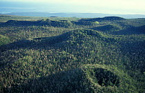 Aerial view of extinct volcano craters covered with forest. Savaii, Western Samoa Polynesia