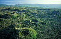 Aerial view of extinct volcano craters covered with forest. Savaii Western Samoa Polynesia
