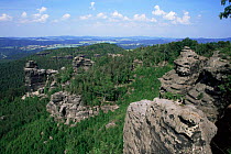 Overlooking woodland with rocky outcrops, near  Gohrisch village, Saxonia, Germany