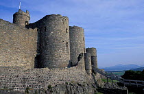 Harlech castle gatehouse with Snowdon behind. Harlech, Gwynedd, Wales
